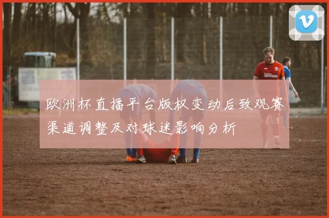 欧洲杯直播平台版权变动后致观赛渠道调整及对球迷影响分析