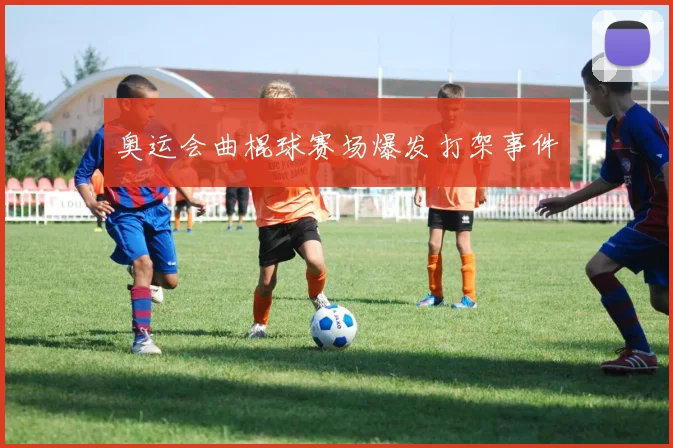 奥运会曲棍球赛场爆发打架事件