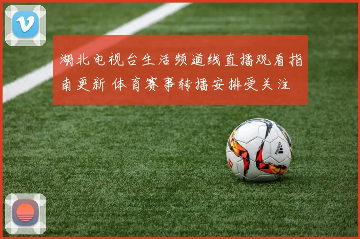 湖北电视台生活频道线直播观看指南更新 体育赛事转播安排受关注