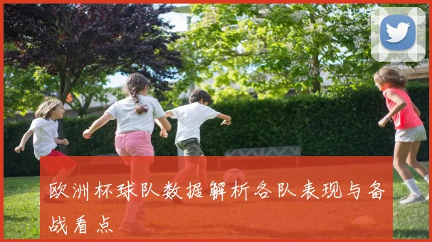 欧洲杯球队数据解析各队表现与备战看点